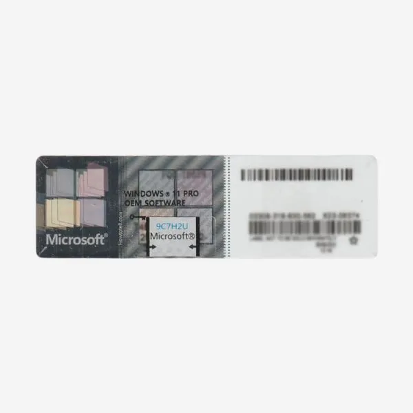 Software Windows 11 Pro alternate